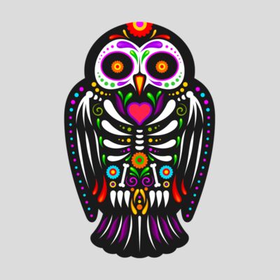 MEXICAN OWL SKELETON Thumbnail